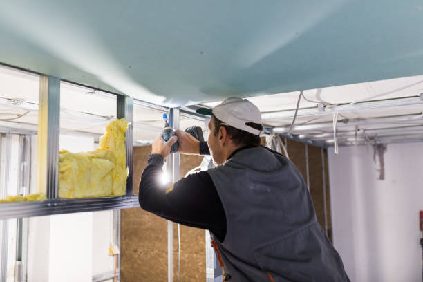 Best Blown-in Insulation in Pass Christian, MS
