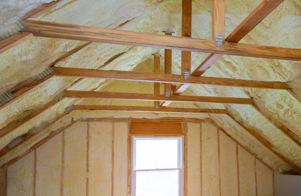 Best Blown-in Insulation in Pass Christian, MS