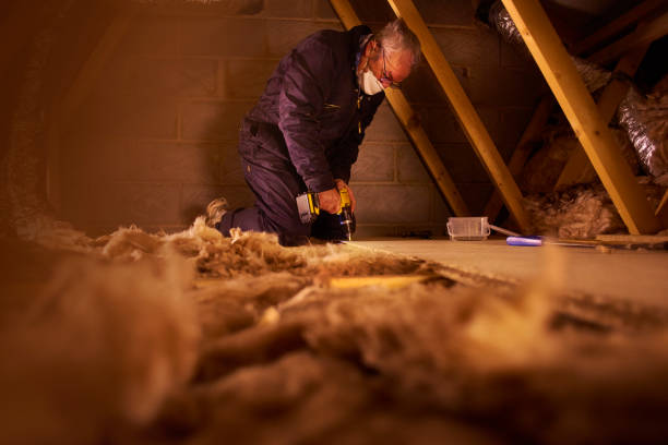 Best Residential Insulation in Pass Christian, MS